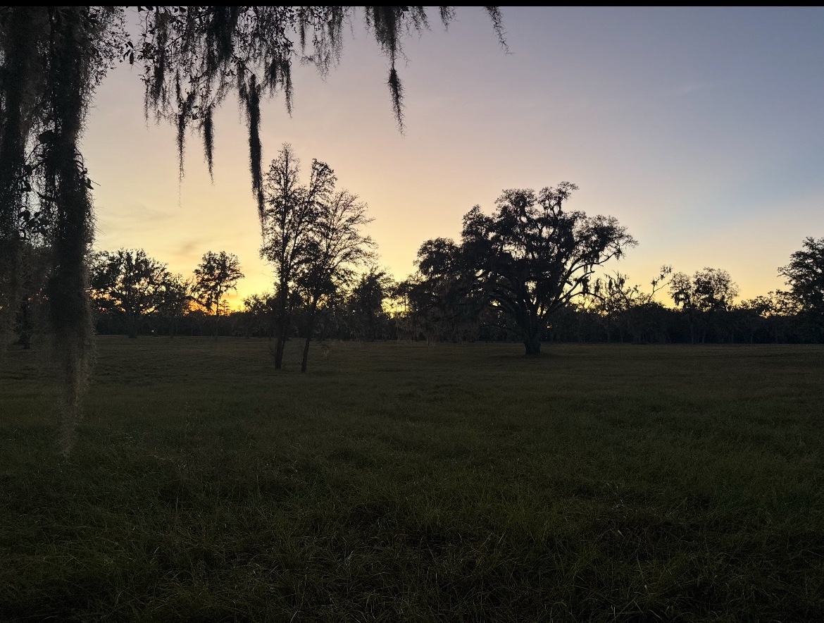 Sunset over open pasture and oak trees at Reddick Ranches