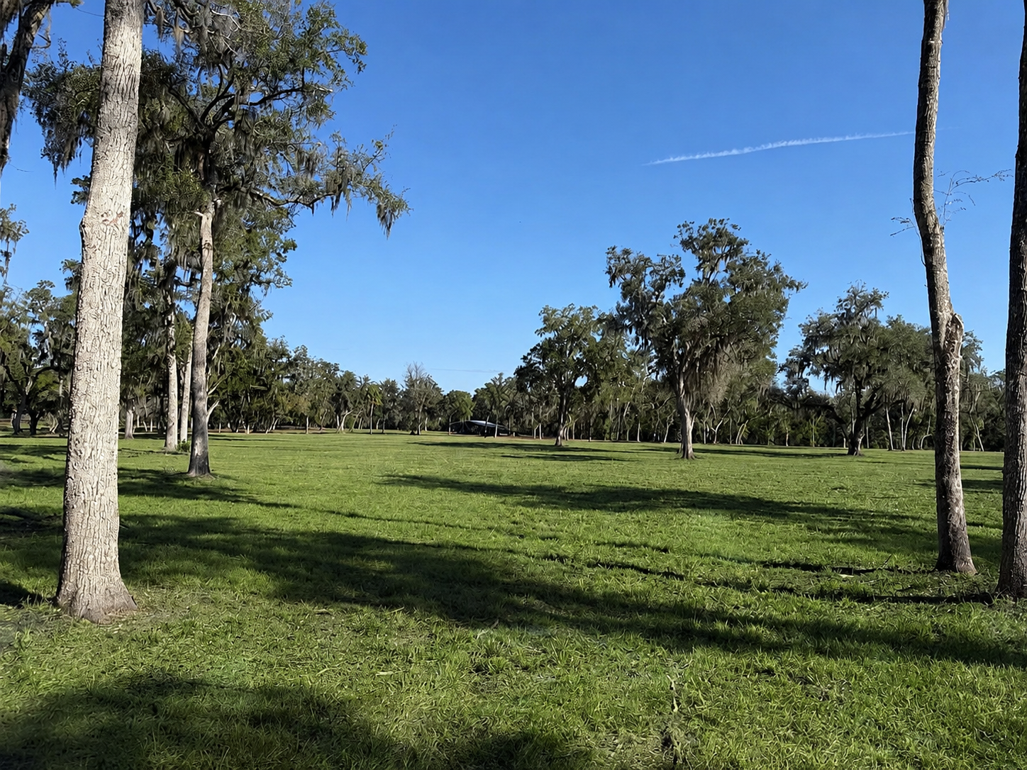 Open green pasture at Reddick Ranches