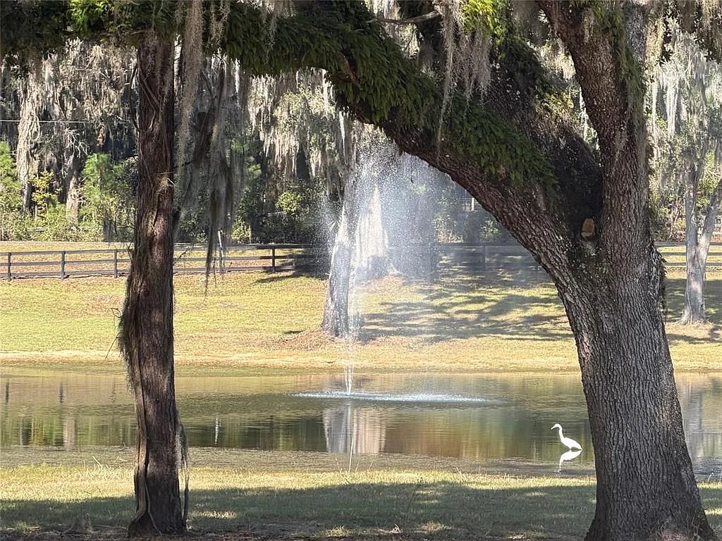 Pond fountain and wildlife at Reddick Ranches